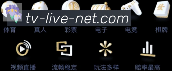 App界面